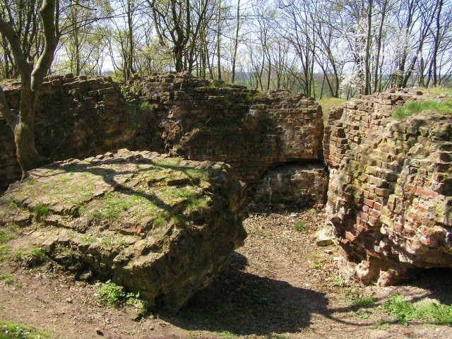 Z niektórych zamków w naszym regionie zostały tylko fragmenty murów. Inne zawieruchy dziejowe potraktowały jeszcze gorzej - całkowicie znikły z powierzchni ziemi. Zobacz zdjęcia i szczegóły na kolejnych slajdach naszej galerii.