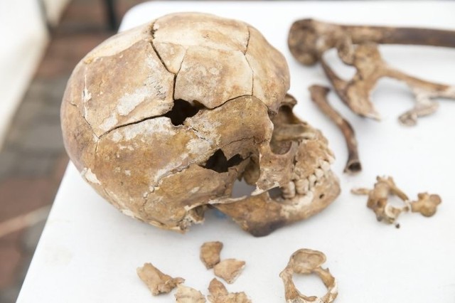 W Areszcie Śledczym odkryto dwie kolejne jamy grobowe, w których znajdują się kości