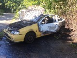 Gdańsk. Kolejny pożar na Przymorzu! W czwartek doszczętnie spłonął samochód osobowy. ZDJĘCIA