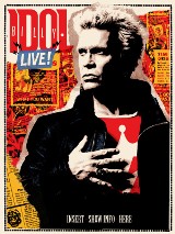 Billy Idol: czadowy koncert w Dolinie Charlotty