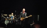 Sting oczarował publiczność. Zobacz niezwykłe zdjęcia z koncertu w Polsce 