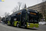 Hybrydowy MAN. Niezwykły autobus na ulicach Opola