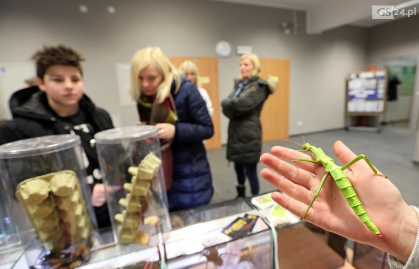 NOC BIOLOGÓW 2019. Pająki, węże, owady będą podczas Nocy Biologów 2019 w Szczecinie