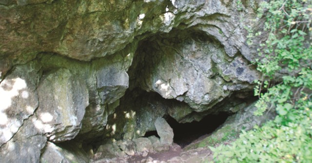 Czeluście jaskiń w rezerwacie Miedzianka w gminie Chęciny wkrótce staną się dostępne dla turystów. Urząd pozyskał na tę inwestycję już pięć i pół miliona dofinansowania unijnego.