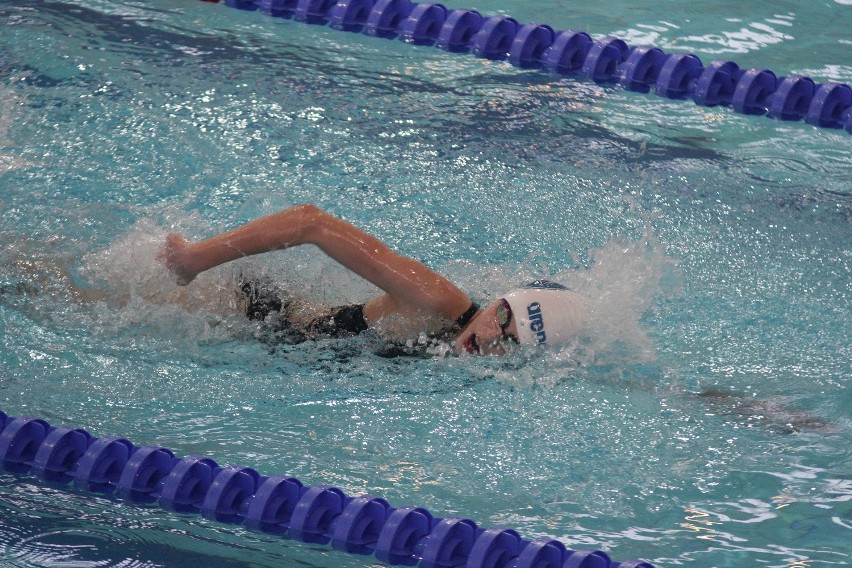 Termy Maltańskie: POZnan International Swimming Cup 2016