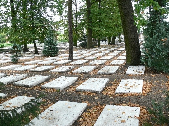 W trakcie rewitalizacji zostanie rozwiązany problem nagrobków, które po większych ulewach toną w kałużach wody.