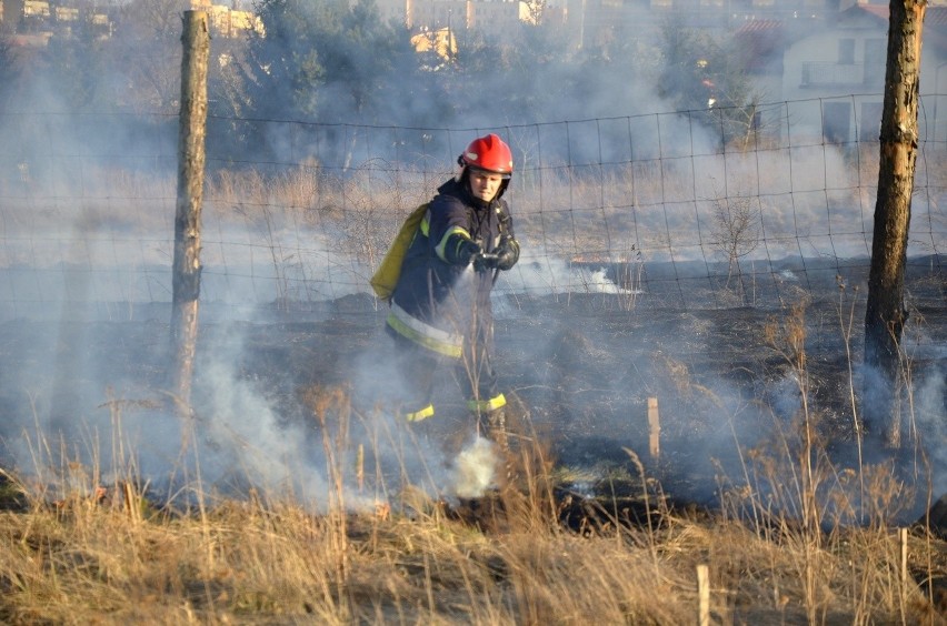 Znów płoną trawy. Strażacy apelują: Ludzie przestańcie podpalać [ZDJĘCIA]