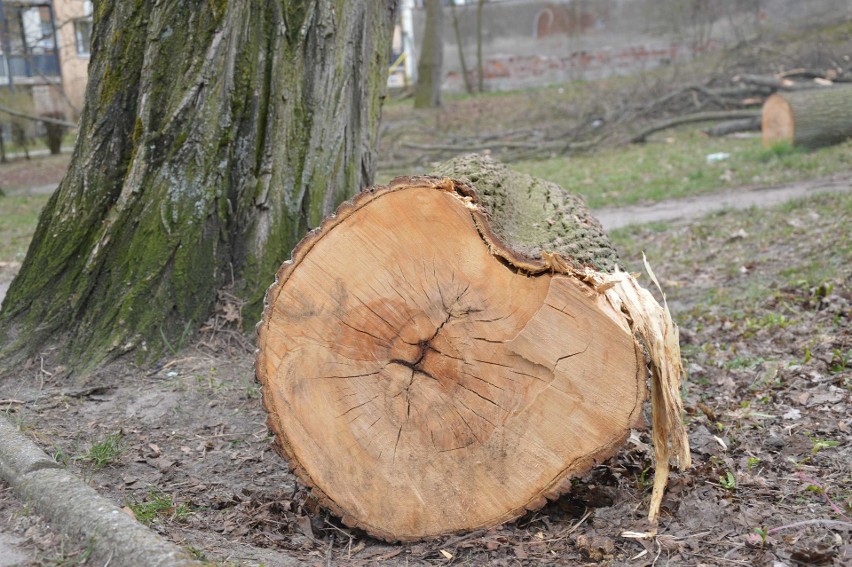 W czwartek, 2 kwietnia, otrzymaliśmy sygnał od zmartwionego...