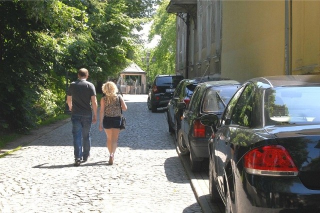 Urzędnicy zapowiadają, że na al. Pod kasztanami skierują dodatkowe patrole policji i straży miejskiej. Kierowcy niszczący zieleńce i blokujący chodniki będą karani mandatami, a jeśli upomnienia nie pomogą, stracą uprawnienia do wjazdu w strefę.