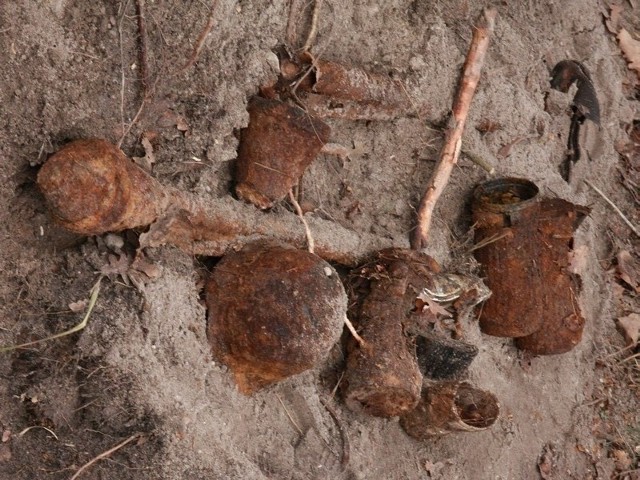 W wykopie koło drogi między Polickiem i Pszczewem odnaleziono ludzkie szczątki, niewypały i fragmenty wojskowego ekwipunku.