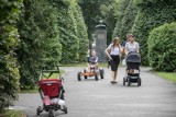 Kraków. W parkach i przy placach zabaw pojawią się specjalne ławki dla karmiących mam