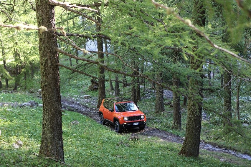 Jeep Renegade / Fot. Jeep