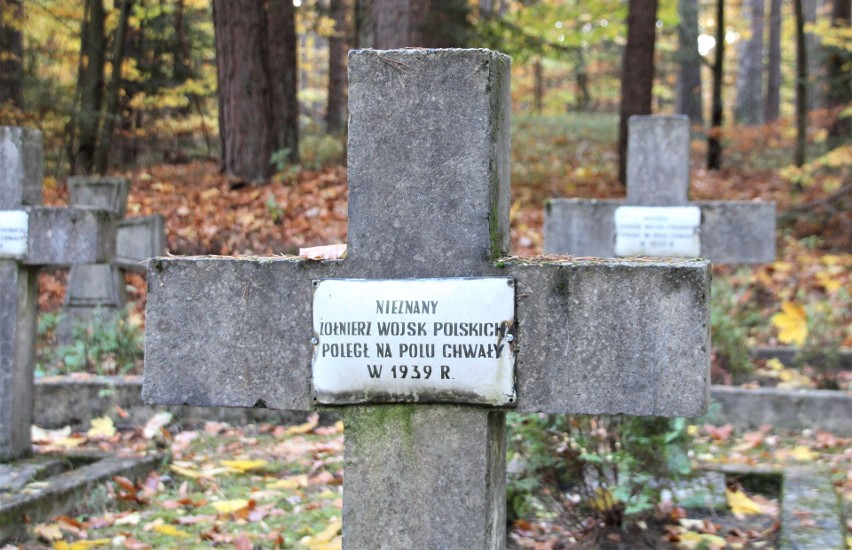 Cmentarz wojskowy w Zwierzyńcu