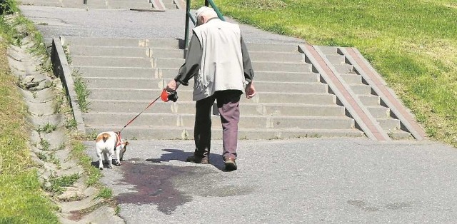 Na alejce, przy której siedzieli nastolatkowie, wciąż widoczne są ślady krwi zaatakowanych chłopaków