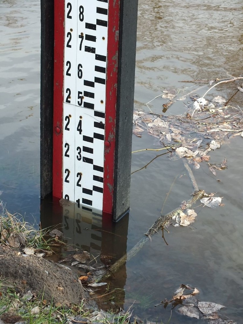 Alarm przeciwpowodziowy w Wąchocku! Zobacz sytuację na rzekach 