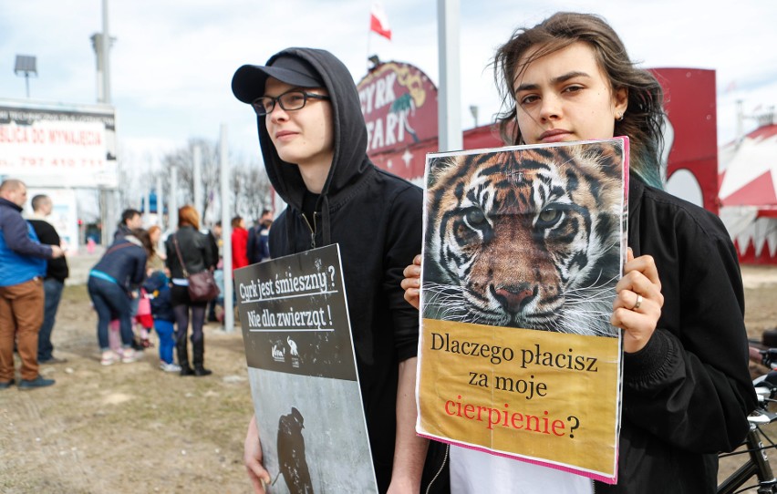 "Cyrk jest śmieszny? Nie dla zwierząt" - m.in. takimi...