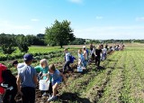 Edukacyjne wykopki w Nowej Górze. Żywe lekcje gospodarskiej tradycji na Ranczo Artemidy