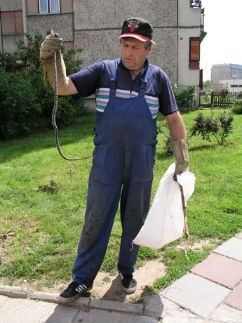 Bogusław Tworkowski, pracownik ZOO, który złapał zaskrońca: - Wąż ma około metra długości, nie jest już młody. Wypuścimy go w bezpiecznym miejscu. Łapałem już wiele zaskrońców i żmij. Wiem, jak należy z nimi postępować. Rok temu przy ul. Waszyngtona w Białymstoku przeprowadzaliśmy ciekawą akcję - zdejmowaliśmy z drzewa pytona, który uciekł komuś z terrarium.