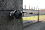 Prawda o Auschwitz popłynęła w świat. Oddźwięk jest duży