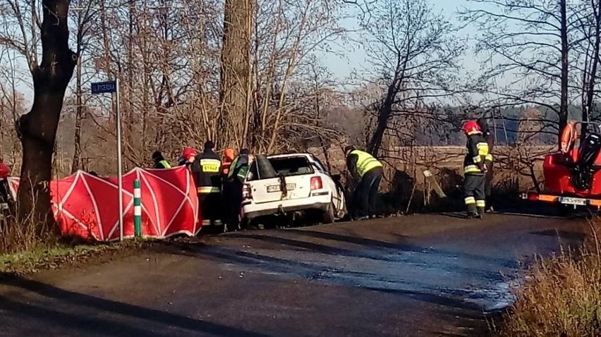 Powiat śremski: Śmiertelny wypadek. Auto wpadło do stawu