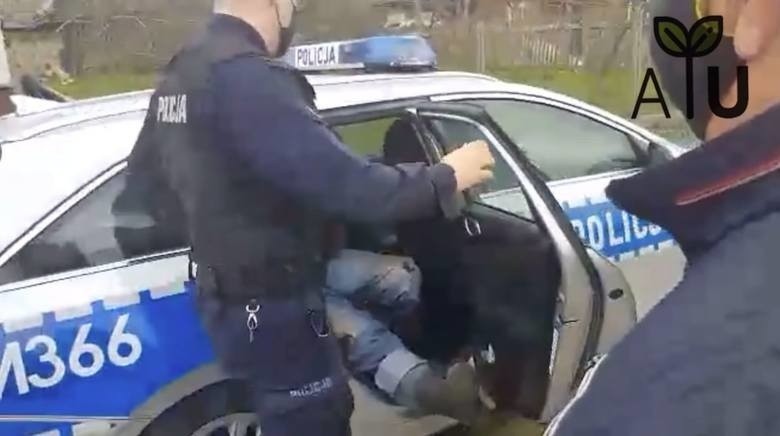 Gienek został zatrzymany przez policję za znieważenie...