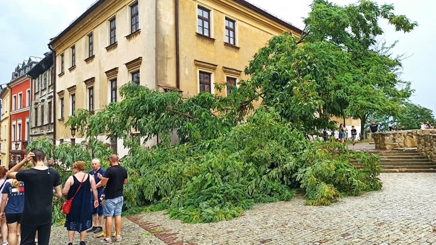 Oberwanie chmury nad Lublinem. Połamane parasole i złamane drzewo na Starym Mieście [WIDEO, ZDJĘCIA]