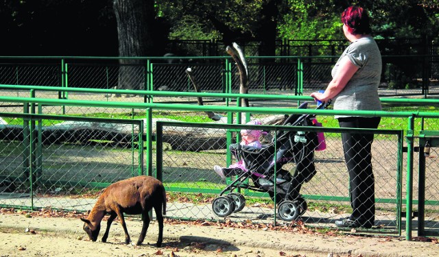 Stare Zoo od zabudowy deweloperskiej chronią zapisy z 2007 roku. Mimo to mieszkańcy obawiają się tego, że zamiast ogrodu powstaną budynki mieszkalne