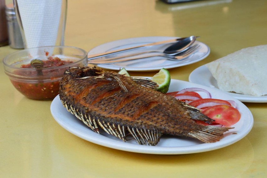 Podobnie jak panga, tilapia jest rybą, która wchłania wiele...