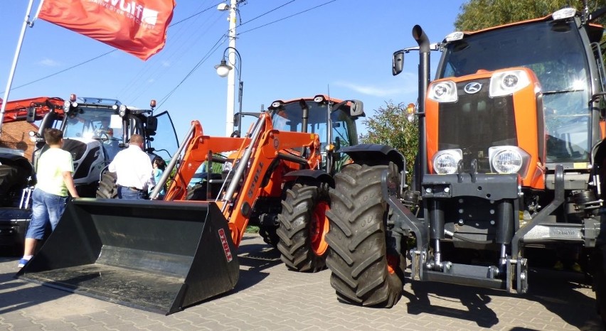 Święto Marchewki w Sielcu Kolonii