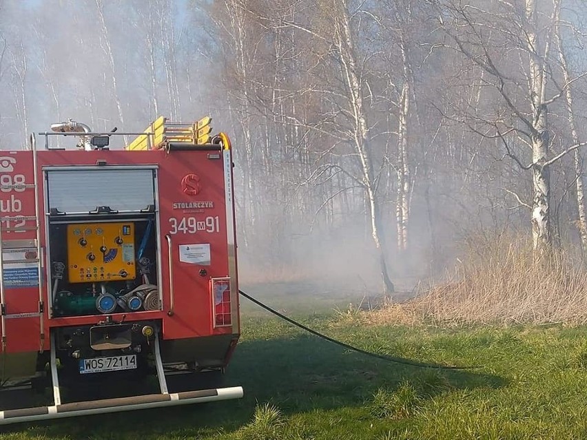 Pożary traw w gminach Troszyn, Czerwin i Goworowo w powiecie ostrołęckim. 22.04.2020. Zdjęcia