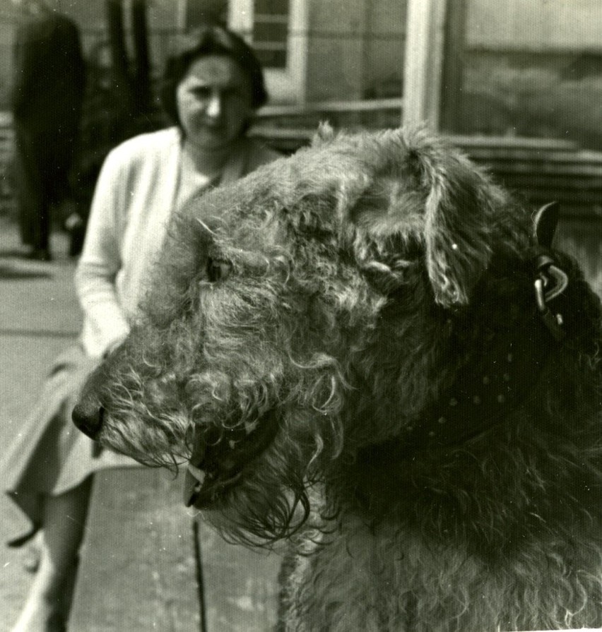Lucyna Legut i Eter – ukochany pies, Wrocław 1957