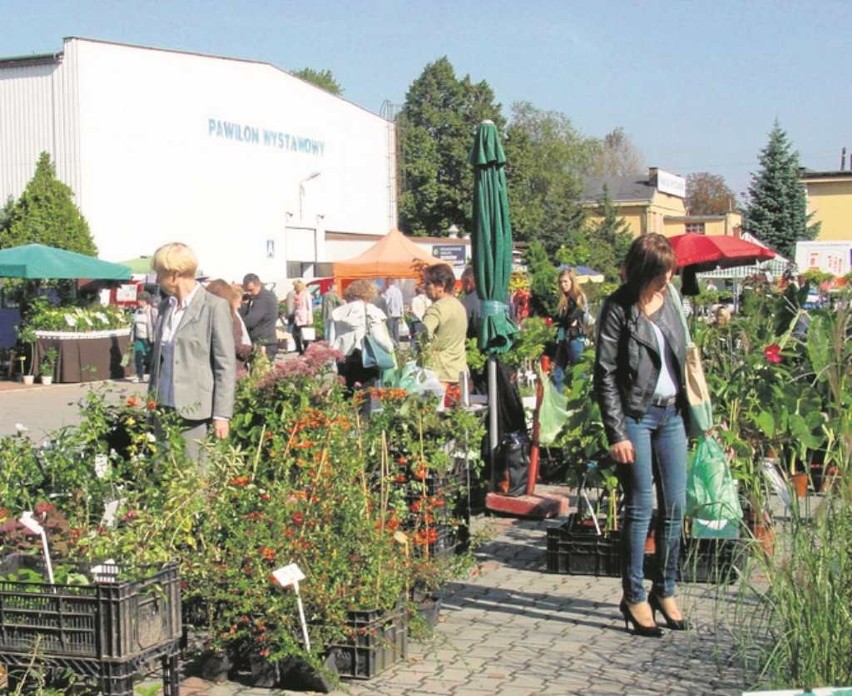 Produkty ogrodnicze oferuje ponad 100 wystawców
