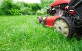 Koszenie trawnika: na te błędy uważaj! Jak często kosić trawę i jak wysoko? Na to uważaj przy koszeniu, jeśli chcesz mieć piękny trawnik
