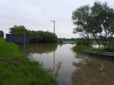 Alarm przeciwpowodziowy w Połańcu odwołany. Obniżył się poziom wody w Wiśle (ZDJĘCIA)