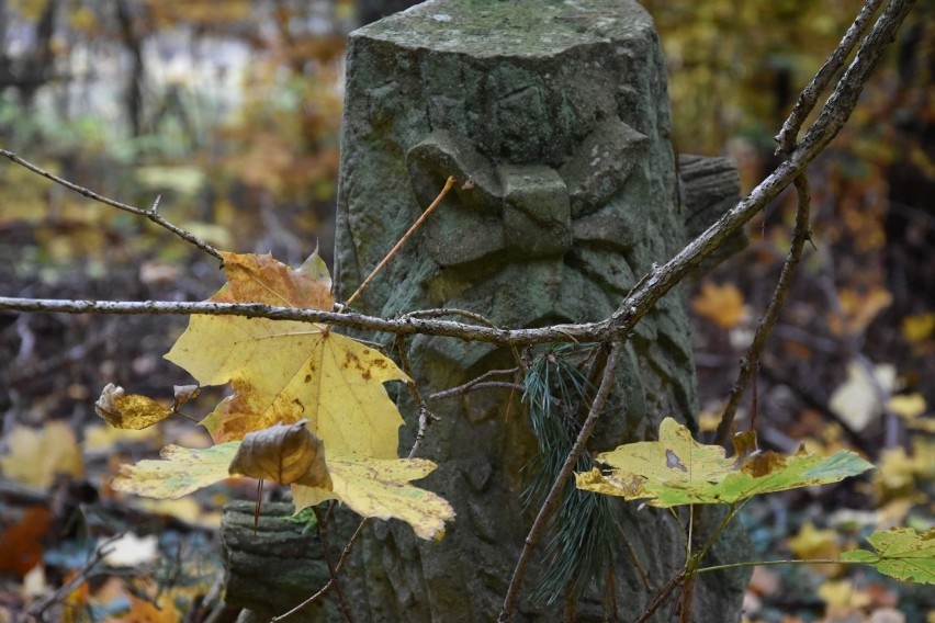 Zapomniane cmentarze na Kaszubach