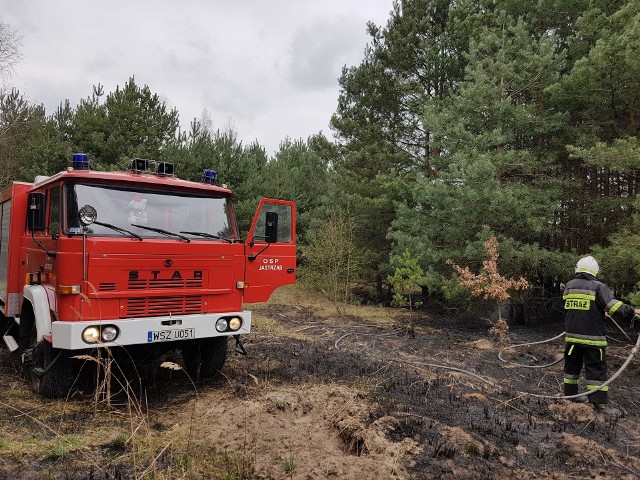 Na terenie powiatu szydłowieckiego dochodzi do wielu pożar&oacute;w, kt&oacute;re często są wywołane przez podpalaczy.