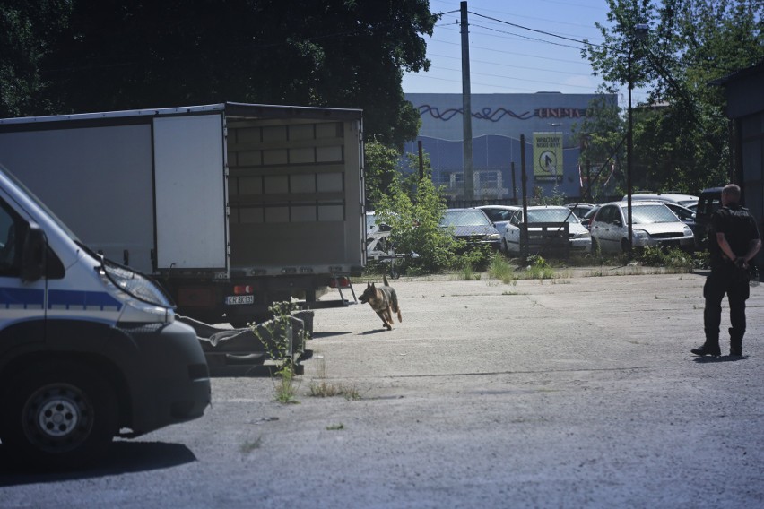 Najlepsze psy z małopolskiej policji w akcji [GALERIA]