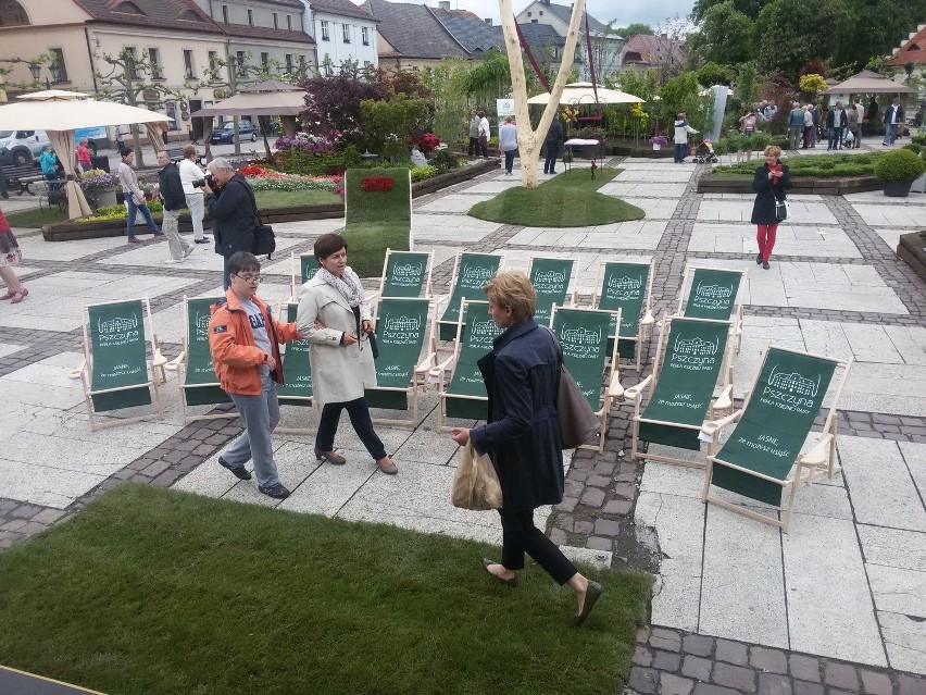 Rynek w Pszczynie na Daisy Days zmienił się w ogród