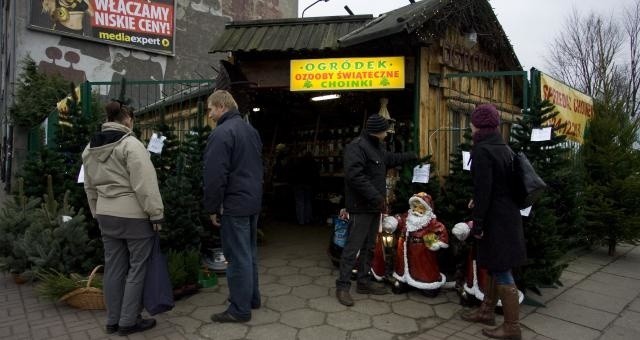 Prawdziwe choinki w Słupsku można kupić w wielu punktach miasta, np. przy niektórych marketach.
