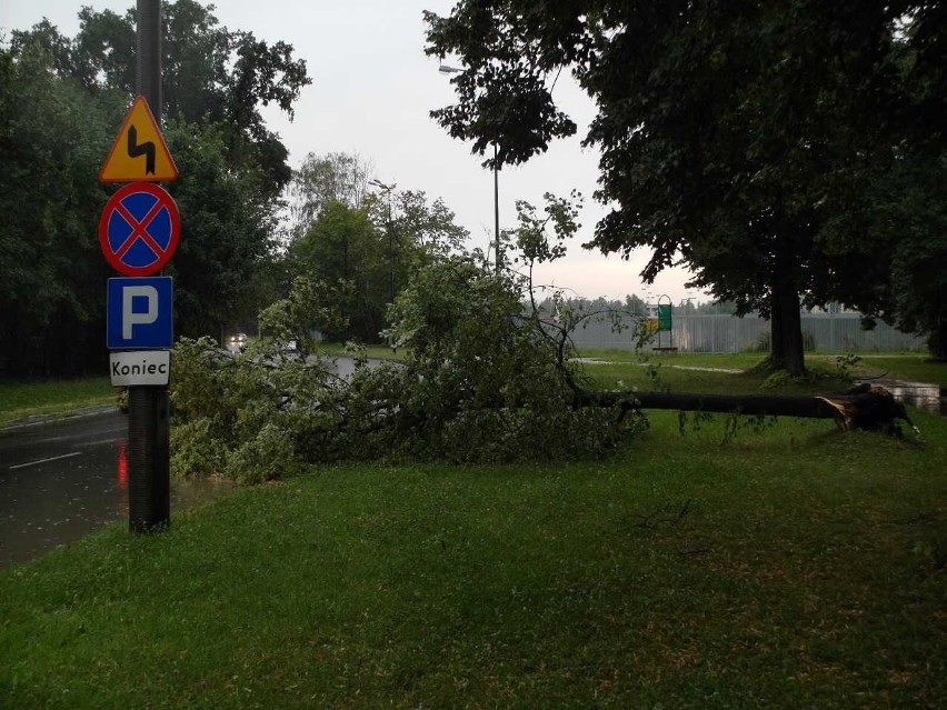 Burza w Łodzi. Nawałnica nad Łodzią. Powalone drzewa, gałęzie na drogach, zalane ulice [ZDJĘCIA]