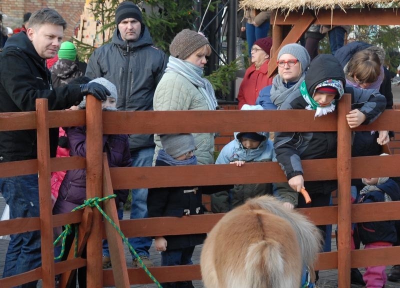 Miejska wigilia w Ostrołęce