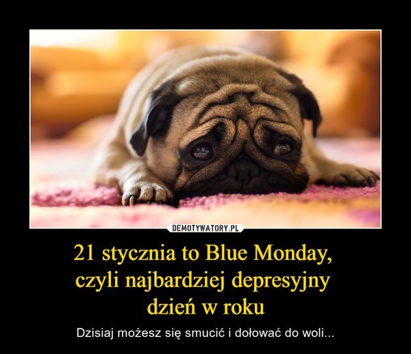 Blue Monday. Dziś przypada najbardziej depresyjny dzień w roku. Humor  poprawią wam najlepsze MEMY | Gazeta Lubuska