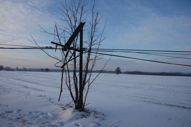 Kable były kradzione na terenie powiatu zwoleńskiego 