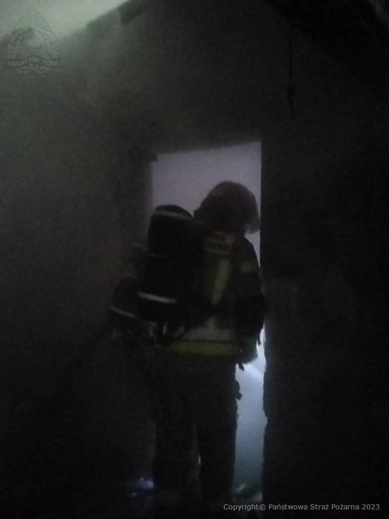 Pożar pustostanu w powiecie radzyńskim. Nie żyje 60-letni mężczyzna