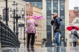 Kujawsko-pomorskie. Instytut Meteorologii i Gospodarki Wodnej – Państwowy Instytut Badawczy ostrzega przed silnym wiatrem