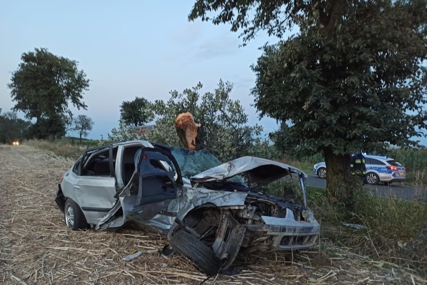 Groźny wypadek w powiecie rypińskim. Samochód uderzył w drzewo