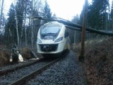 Powalone na tory drzewo blokowało ruch pociągów. Koniec utrudnień na trasie z Jeleniej Góry