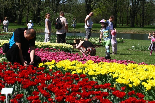 Ze względu na powierzchnię - 67 ha - jednym z najbardziej okazałych, a zarazem największych w Polsce, jest Łódzki Ogród Botaniczny. Początkowo zajmował tylko teren przy Parku Źródliska, gdzie obecnie mieści się Palmiarnia. Po wojnie powstał drugi, na terenie przyległym do Parku na Zdrowiu. Zwiedzający mogą się tam poruszać po dziewięciu działach tematycznych. Do najciekawszych należy Ogród Japoński z takimi okazami, jak  metasekwoja chińska, miłorząb dwuklapowy, klony palmowe, magnolie, azalie i wiśnie ozdobne. Z kolei Alpinarium zostało ukształtowane na wzór górzystego krajobrazu z blokami skalnymi i krętymi ścieżkami. Spotkamy tu roślinność skalną.