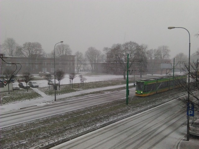 Pogoda w Poznaniu