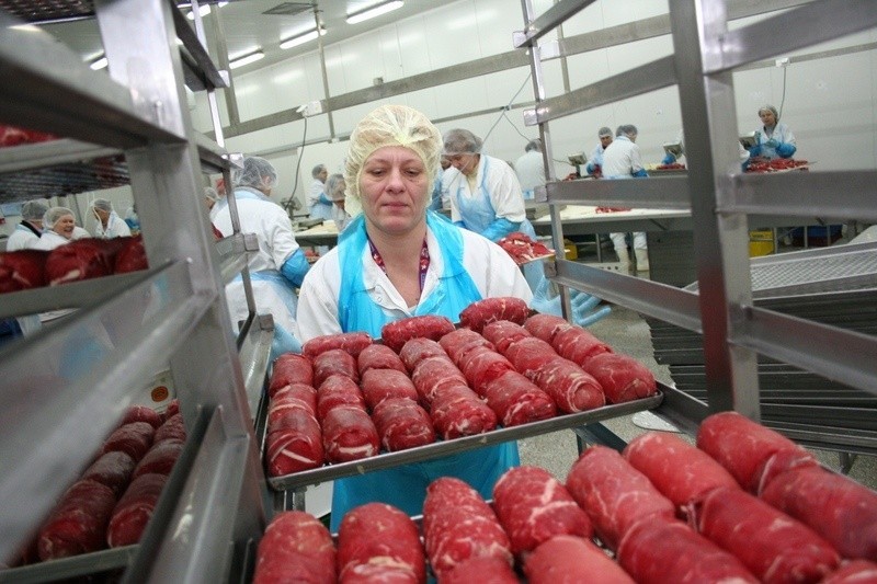  Chłodnia RUN we Włocławku jest znanym producentem mrożonych wyrobów. Reklamuje je gwiazda "Tańca z gwiazdami"
